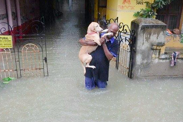 /media/k2/galleries/48795/05