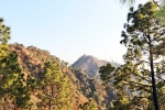 Kasauli new updates, Kasauli videos, amazing things to do and see in kasauli, Amazing