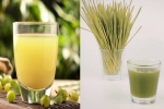 Amla Juice Vs Wheatgrass Juice, Amla Juice Vs Wheatgrass Juice, amla juice vs wheatgrass juice for fatty liver, Fatty liver