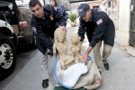 stolen, temples, 10 000 major artworks stolen from indian temples every decade expert, International destinations