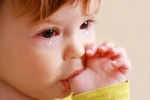Conjunctivitis, Watery eyes in Babies breaking, real causes does your baby have watery eyes, Pediatri Conjunctivitis, Watery eyes in Babies breaking, real causes does your baby have watery eyes, Pediatri