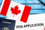 Canada's study visa approvals, Canada's study visa approvals Indian students, canada s study visa approvals for indian students to drop by 50 in 2024, Autumn