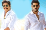 Bangarraju trailer, Bangarraju ten days, ten days worldwide collections of bangarraju, Chinni