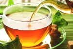 tea, chamomile tea, is consuming tea linked to immunity, Body health