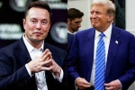 Elon Musk and Donald Trump support, Elon Musk and Donald Trump latest, elon musk s big bet on donald trump, Nelson Elon Musk and Donald Trump support, Elon Musk and Donald Trump latest, elon musk s big bet on donald trump, Nelson