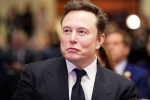Elon Musk, Elon Musk Epstein Files breaking, elon musk named in new epstein files, Donald trump