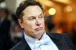 Tesla CEO, India, elon musk s india visit delayed, Ntr