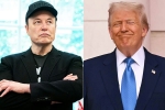 Elon Musk Vs Donald Trump breaking, Elon Musk, elon musk s latest attack on donald trump, Elon musk