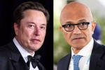Elon Musk Vs Satya Nadella updates, Elon Musk Vs Satya Nadella warning, elon musk s warning to satya nadella after gpt 5 launch, Satya nadella
