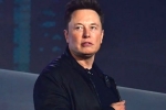 Elon Musk news, Elon Musk, elon musk talks about cage fight again, Domino s