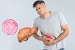 Fatty Liver health tips, Fatty Liver breaking, fatty liver can be reversed in just one month, Function