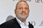 British Film Institute, British Film Institute, uk probe into harvey weinstein s sexual assaults widens with seven women, Westminster British Film Institute, British Film Institute, uk probe into harvey weinstein s sexual assaults widens with seven women, Westminster