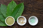 kratom, Pain Treating Herbal Supplement, this pain treating herbal supplement is not safe for use, Uk varsity