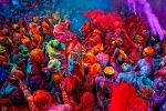 bhang online, bhang online, holi 2019 dates history and significance of bhang on the holy day, Festival of colors bhang online, bhang online, holi 2019 dates history and significance of bhang on the holy day, Festival of colors