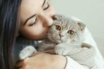 Cat Owner, cats pets, international cat day reasons why being a cat owner is good for health, International cat day