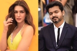 Kriti Sanon new movies, Vamshi Paidipally, kriti sanon to romance vijay in his next, 1 nenokkadine