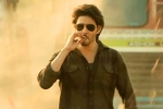 Guntur Kaaram budget, Guntur Kaaram shoot, major changed for mahesh babu s guntur kaaram, Pooja hegde