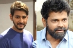 Mahesh Babu latest, Mahesh Babu next, mahesh babu shelves sukumar s project, 1 nenokkadine