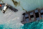 Japanese, Mauritius, everything about mauritius oil spill and india s assistance, Eco system