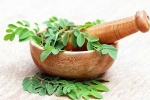 Moringa for health, Moringa experts, is moringa a must have in your diet, Diabetes