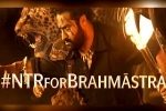 Brahmastra and NTR, Amitabh Bachchan, ntr turns chief guest for brahmastra event, Back pain