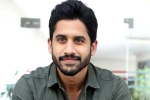 Naga Chaitanya about Bangarraju, Naga Chaitanya upcoming projects, naga chaitanya coming up with a strong lineup of films, Chinni