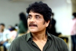 Sreenivasaa Chitturi, Nagarjuna, nagarjuna in a periodic drama, Disney plus hotstar