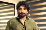 Nagarjuna Personal Rights new updates, Nagarjuna Personal Rights news, delhi high on nagarjuna s personal rights, Celebrities