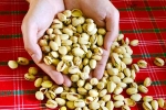 Pistachios news, Pistachios protein, pistachios are a perfect protein snack, Fried