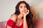 Pooja Hegde new film, Pooja Hegde new movie, pooja hegde in talks for a biggie, Ssmb28