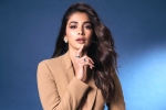 Pooja Hegde new movies, Pooja Hegde new movies, pooja hegde lines up bollywood films, Cup