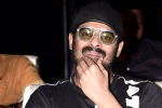Prabhas and Maruthi Film shoot updates, Prabhas and Maruthi Film shoot updates, prabhas next film launched, A maruthi film Prabhas and Maruthi Film shoot updates, Prabhas and Maruthi Film shoot updates, prabhas next film launched, A maruthi film