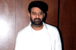 People Media Factory, Prabhas movie budget, two beauties locked to romance prabhas, A maruthi film People Media Factory, Prabhas movie budget, two beauties locked to romance prabhas, A maruthi film