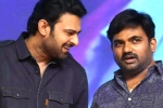 Maruthi, Prabhas and Maruthi film new title, new title for prabhas and maruthi film, A maruthi film Maruthi, Prabhas and Maruthi film new title, new title for prabhas and maruthi film, A maruthi film