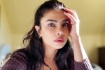 Priyanka Chopra statement, Don't Look For Virgin Wife statement, priyanka chopra breaks silence on don t look for virgin wife comment, Priyanka chopra