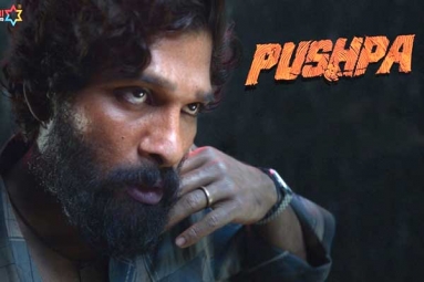 Pushpa to be released in two Installments? Pushpa to be released in two Installments?