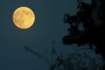 Supermoon 2025, Supermoon 2025 new updates, science behind supermoon explained, Beautiful