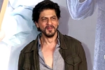 Shah Rukh Khan new film, Shah Rukh Khan new film, shah rukh khan s next from march 2024, Driving