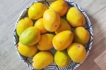 Soak Mangoes health experts, Soak Mangoes health experts, soak mangoes for 30 minutes before eating, Cause