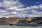 borders, China, india orders china to vacate finger 5 area near pangong lake, Pangong lake