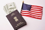 Immigration, HIB Visa, work permit of h1b visa holder s spouses will be refused, H1b visa