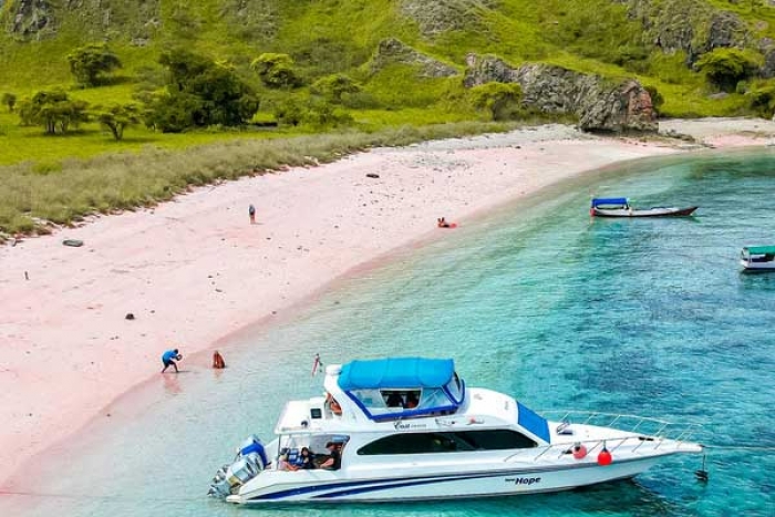 Which Pink Beach Should you Visit in Indonesia?