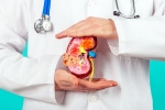 top fruits for Kidney Health, top fruits for Kidney Health, top fruits that are good for kidney health, Chronic health issues