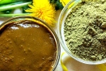 Henna latest updates, Henna colour, how henna helps for hair growth and health, Protein
