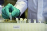 strain, mutants, not enough mutants in coronavirus in india to inflict concern, Mutants strain, mutants, not enough mutants in coronavirus in india to inflict concern, Mutants
