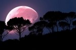supermoon, supermoon, april s super pink moon to rise today biggest of the year, Super pink moon