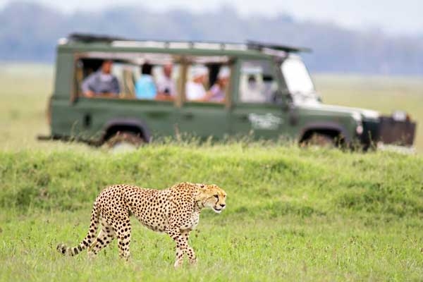 How to plan your South African Safari Trip?