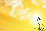 Gulf of Oman, longest day of the year in the UAE, friday is the longest day of the year, Middle east news