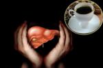 Alcohol and Coffee, Liver Cancer prevention, coffee consumption helps in protecting boozers livers, Coffee benefits