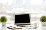 sickness, stress, a plant in your office can help in preventing sick days says experts, Work place